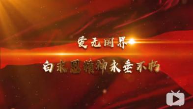 金刚鹦鹉逃生