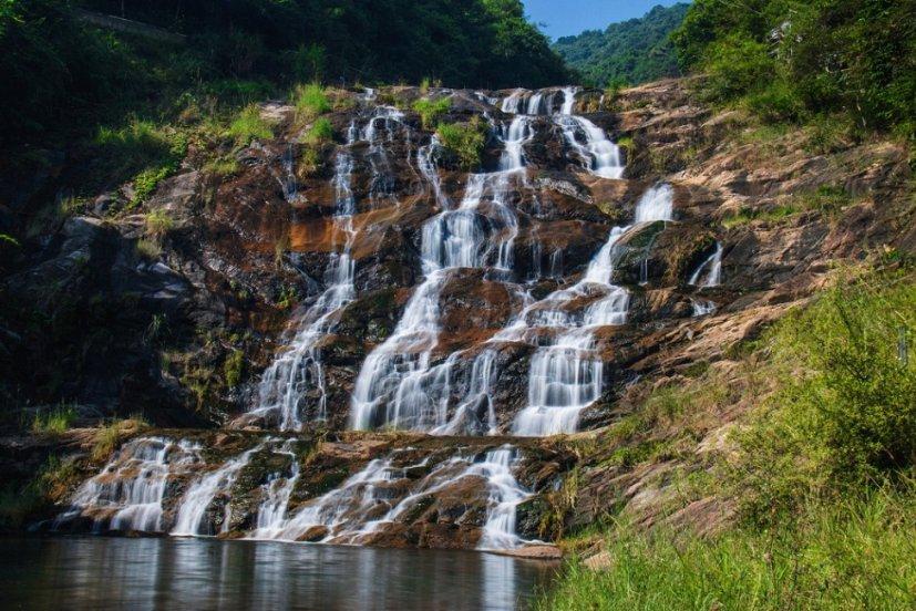 狐狸的旅程