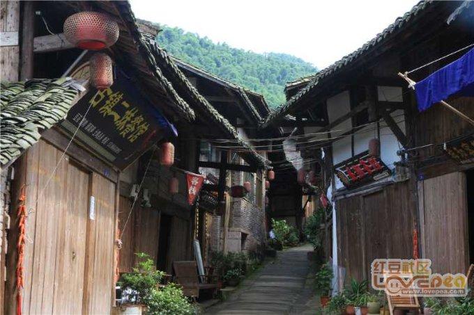 上海花卉展在什么地方？游戏画面